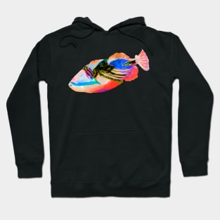 Humuhumunukunuapuaa Hoodie